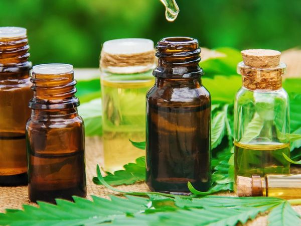 What You Should Know About CBD Information