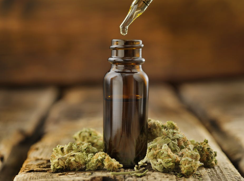 How Much CBD Oil From One Plant Should I Be Taking?