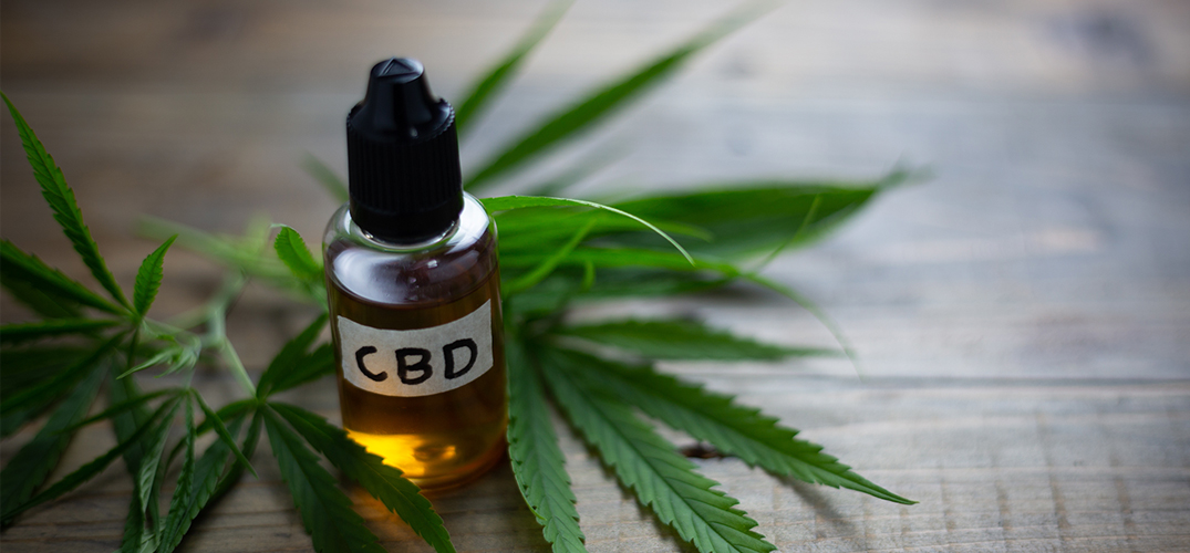 How Long Does Cbd Stay In The System