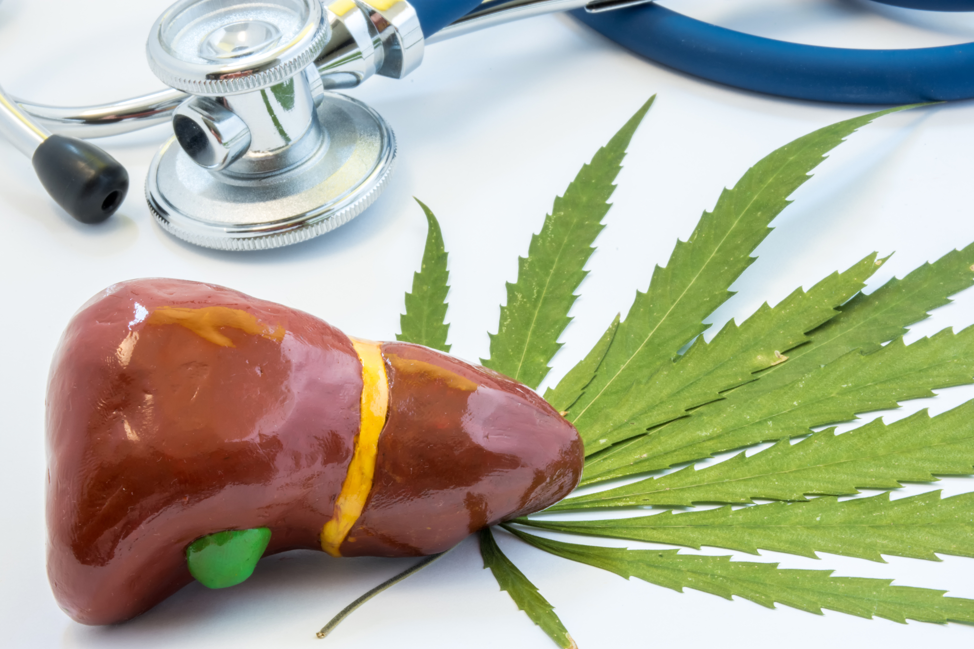 Does Smoking Weed Affect Your Liver?