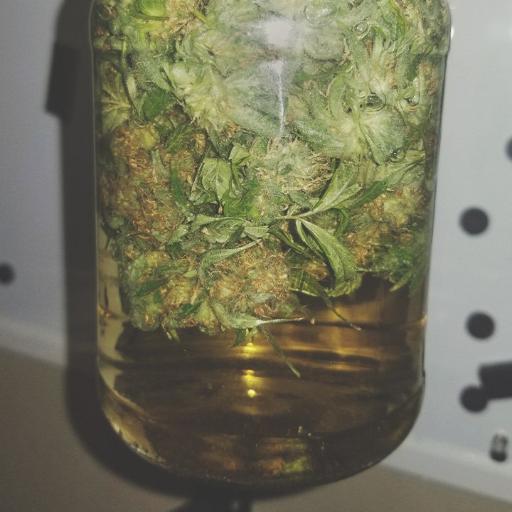 How To Rehydrate Weed